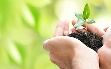 معنى الجهد وطريق الحقّ والفضيلة